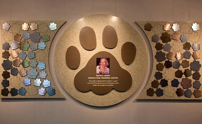 donor wall guide and ideas