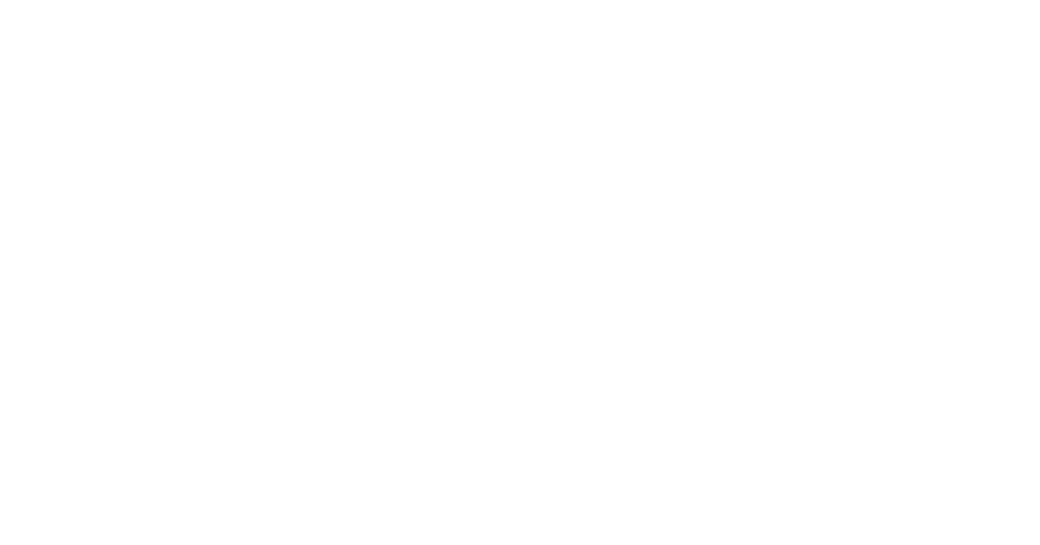 Organic Soup Kitchen