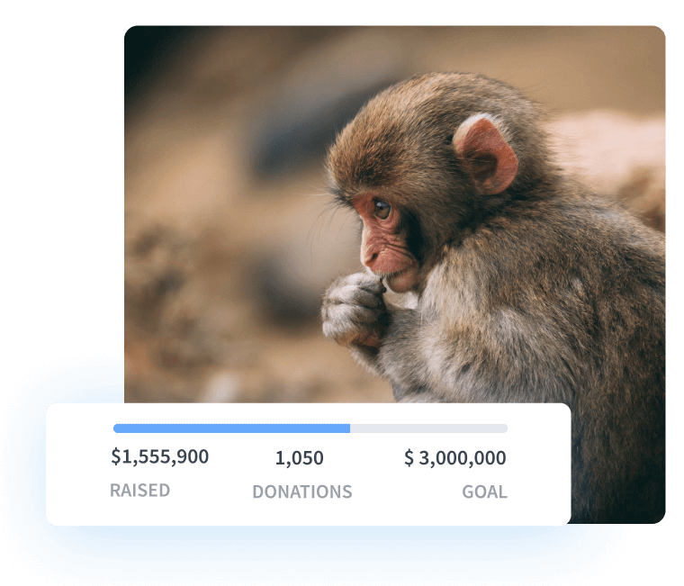 The challenge The challenge