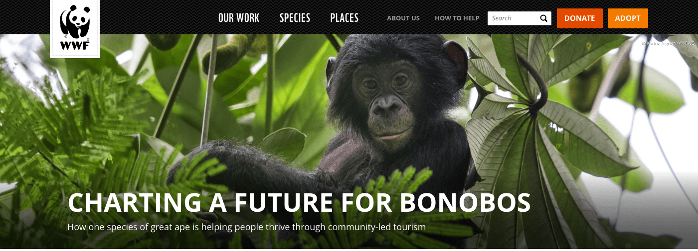 world wild life donation page