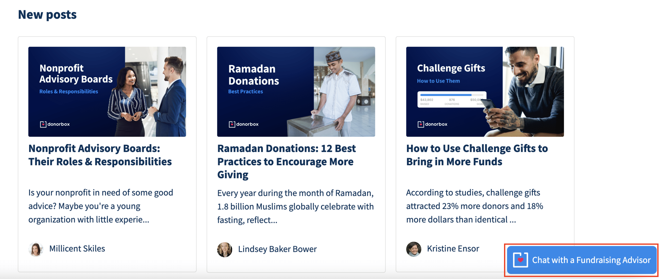 Screenshot of the Donorbox fundraising advisor chatbot.