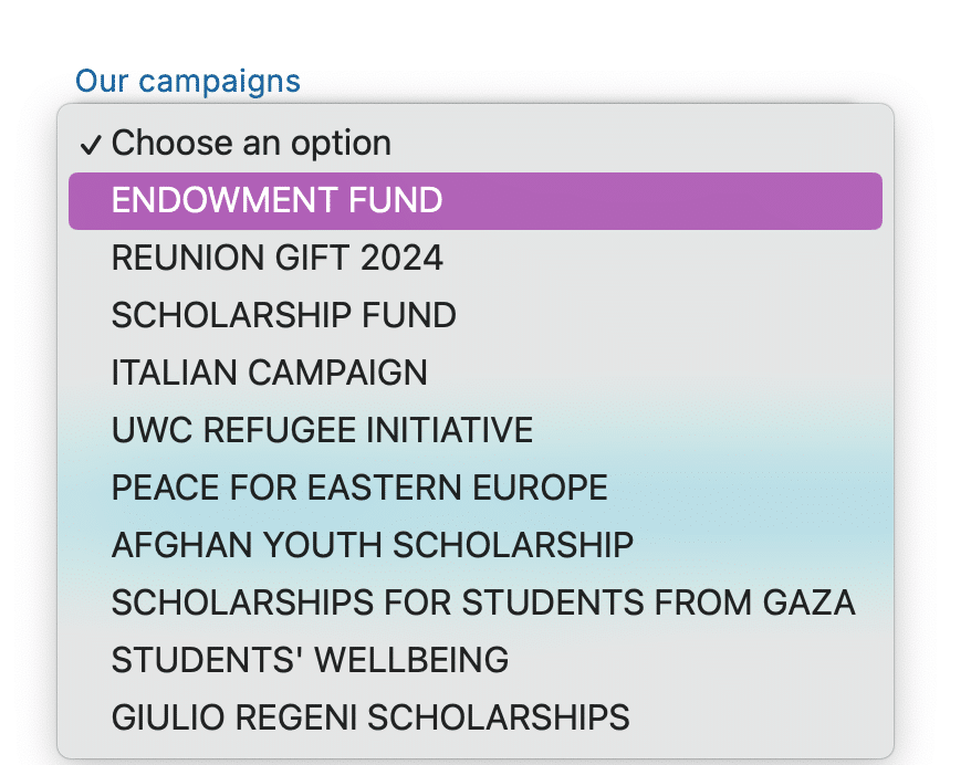 Example of a donation designations drop-down in a Donorbox Donation Form.