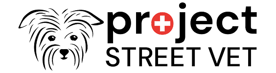 How Project Street Vet grew monthly giving and raised $1M+ to care for homeless pets How Project Street Vet grew monthly giving and raised $1M+ to care for homeless pets