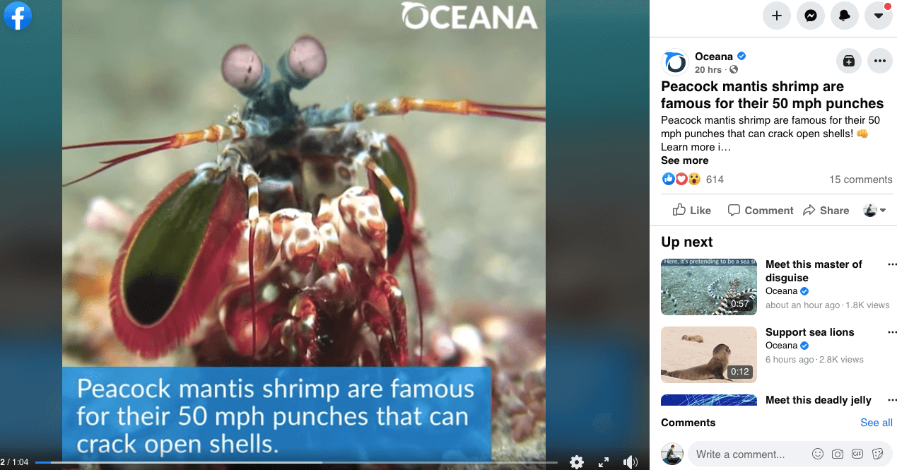 Nonprofit Social Media Campaign