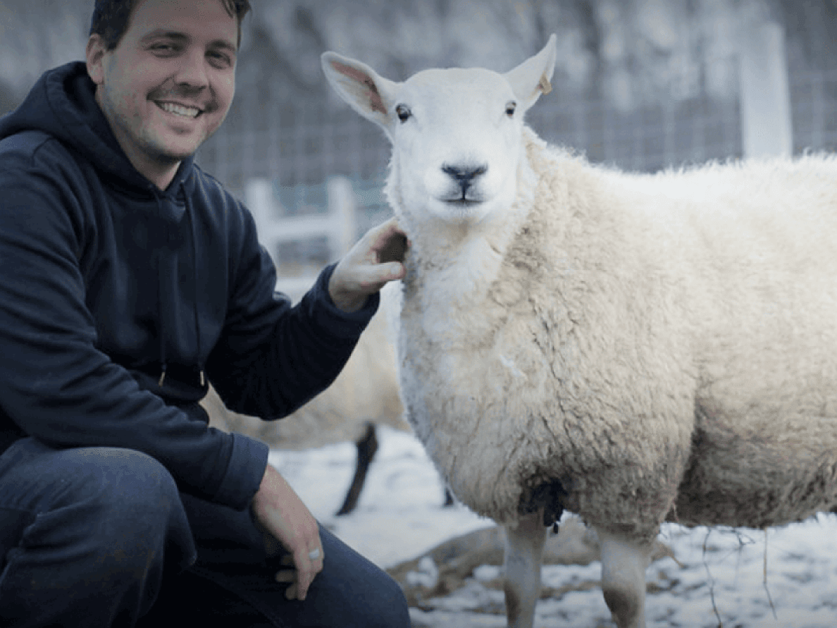 How a small team relies on Donorbox to grow big How a small team relies on Donorbox to grow big