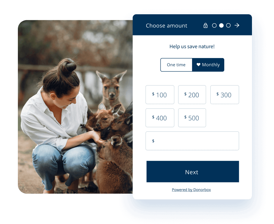 The solution The solution